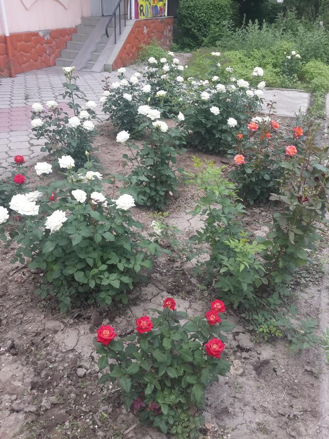 Fm Hostel Almaty Koktobe Екстер'єр фото